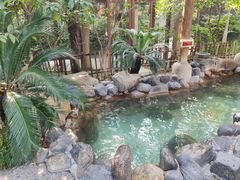 -张家港金凤凰度假村温泉