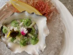 -九献创意菜·牛排馆(亮马河花园店)
