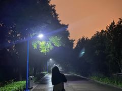 -森林公园(尖草坪区)