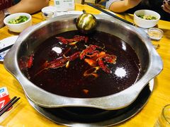 -金鼎雪山牦牛杂火锅(理县总店)