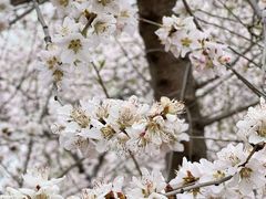 -吉林大学(南岭校区)