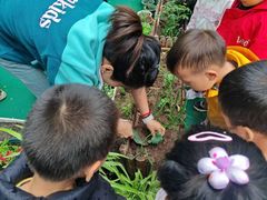 -伊顿幼儿园(济南大地锐城校区)