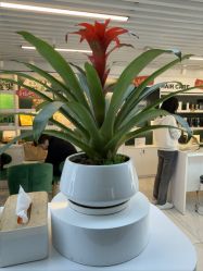 -章光101防脱养发荟