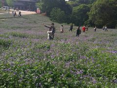 -保利石象湖景区