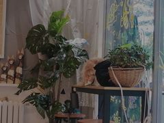 -平行世界·猫咖(首经贸店)