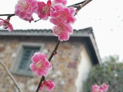 -无锡梅园公园