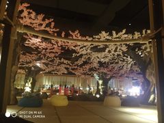 -蓝鲸湾汤泉(包河店)