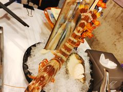 -鲜入围煮花胶鸡海鲜火锅