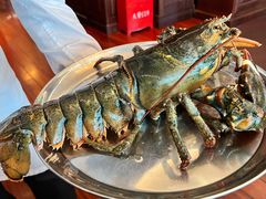 -Wolfgang’s Steakhouse 沃夫冈牛排馆(上海白玉兰广场店)