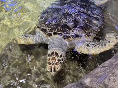 -威海华夏城景区