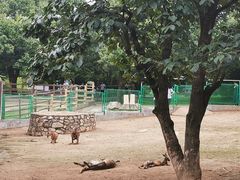 -西安秦岭野生动物园