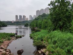 -重庆彩云湖湿地公园