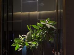 -尚善若水·汤泉·SPA·沐足(东方渔人码头店)