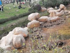 -花果园湿地公园