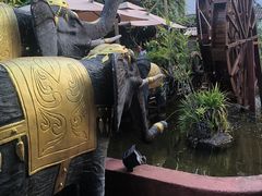 -品德宏·孔雀宴的发源地(金塔园店)