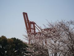 -龙美术馆(西岸馆)