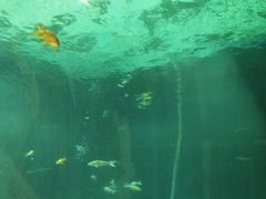 -石家庄海洋公园