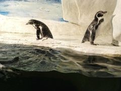 -左海海底世界