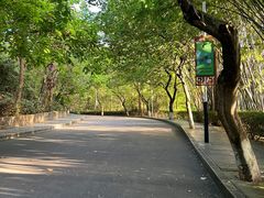 -水濂山森林公园