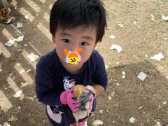 -前小桔亲子创意农场·草莓采摘·露营烧烤