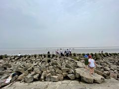 -南汇嘴观海公园