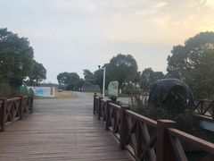 -荷塘月色湿地公园·向阳花洲