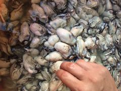 蚝乡农庄-蚝乡农庄(铁涌赤岸店)