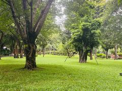 -晓港公园