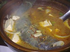 砂锅弓鱼-苍洱春饭店