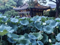 -绍兴古城