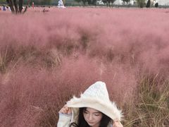 -汉长安城未央宫国家考古遗址公园