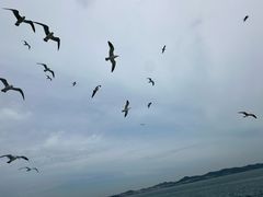 -长岛南北长山旅游景区