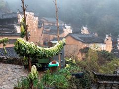 -杨家堂村