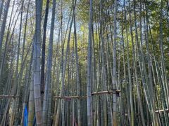 -陶祖圣境风景区