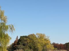 -长广溪湿地公园
