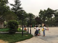 -莲湖公园