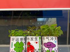 -雅佳神话·麻辣烤鱼(新街口店)