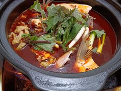 -老杨砂锅鱼庄