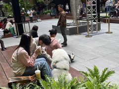 -瑞虹新天地月亮湾