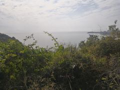-南丫岛