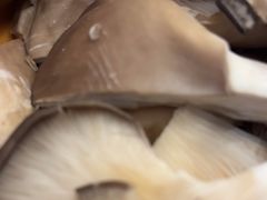 -龍歌自助小火锅(城阳万象汇店)