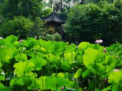 -成都市文化公园