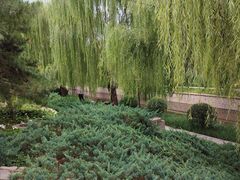 -元大都城垣遗址公园