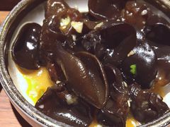 酸辣猫耳朵-牛腩之旅·牛腩牛杂煲(光启城美食城店)