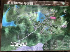 -深圳仙湖植物园