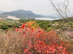 -北京十三陵国家森林公园蟒山景区