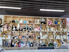 -金陵矩阵(聚宝山公园店)