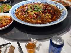 -新概念来凤鱼(璧山店)