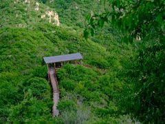-大岭沟猕猴桃谷风景区