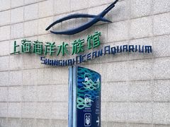 -上海海洋水族馆